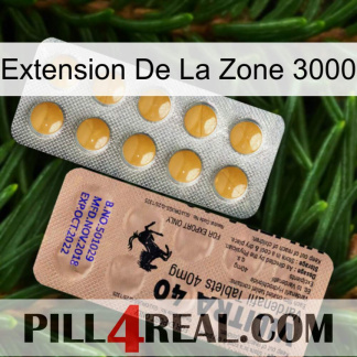 Exten Zone 3000 41